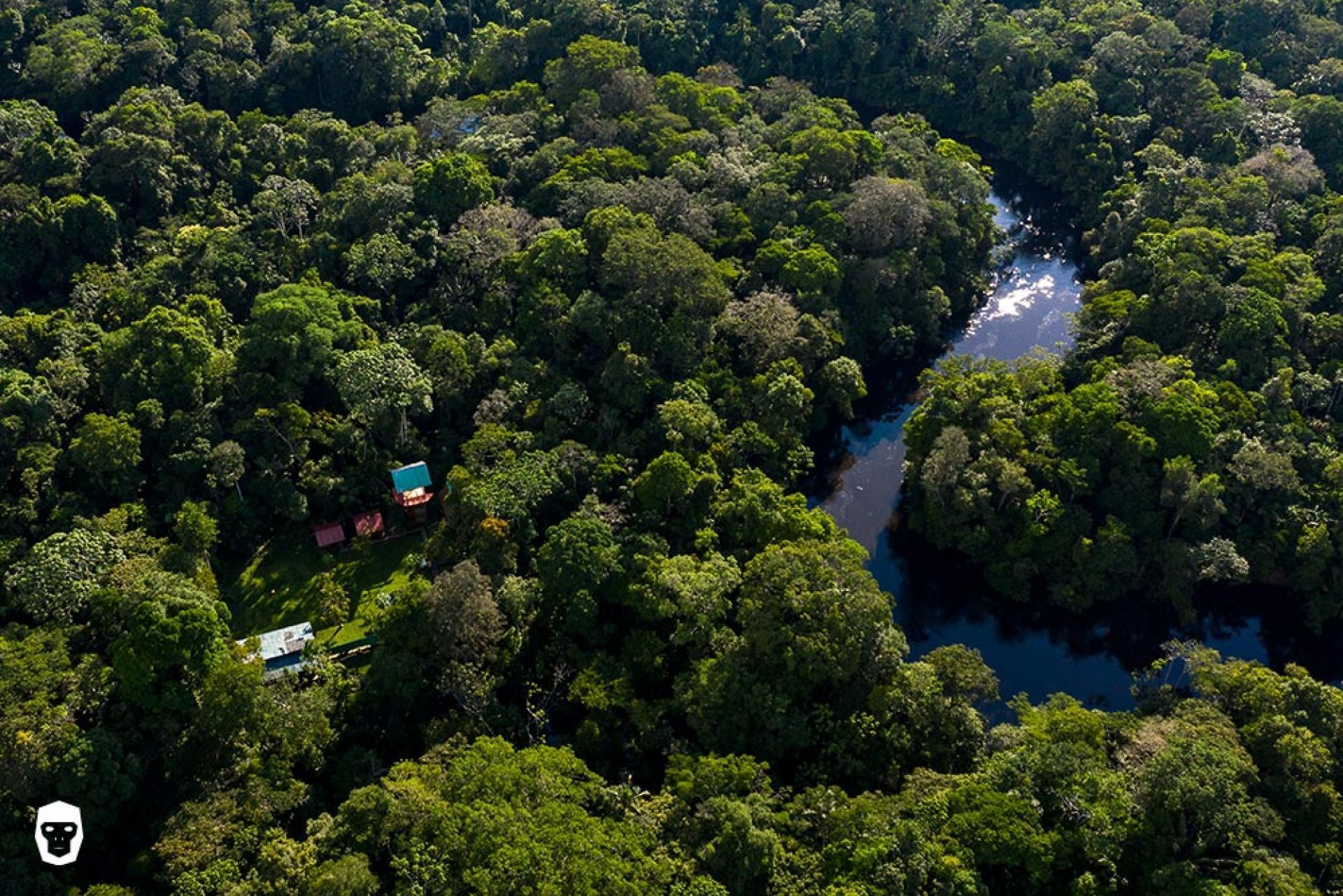 Amazonía y Cuyabeno