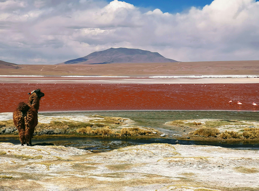 Bolivia Mágico - Imagen 5