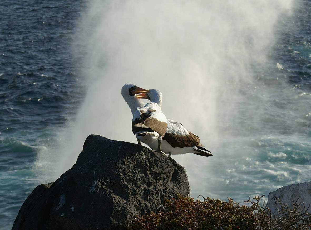 Santa Cruz + Islas del Norte - Imagen 5